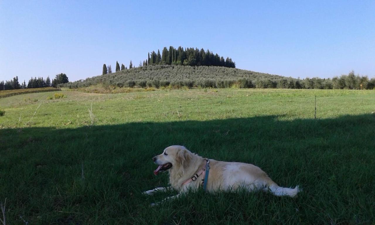Dolce Cuore Luxe Apartment Chianti Florence Male Romantyczne Mieszkanie San Donato in Poggio 외부 사진